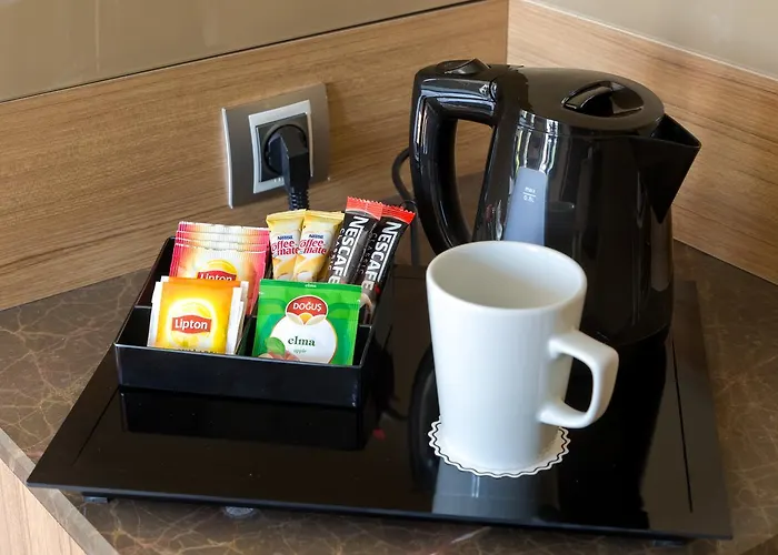 Ramada Encore By Wyndham エスキシェヒル